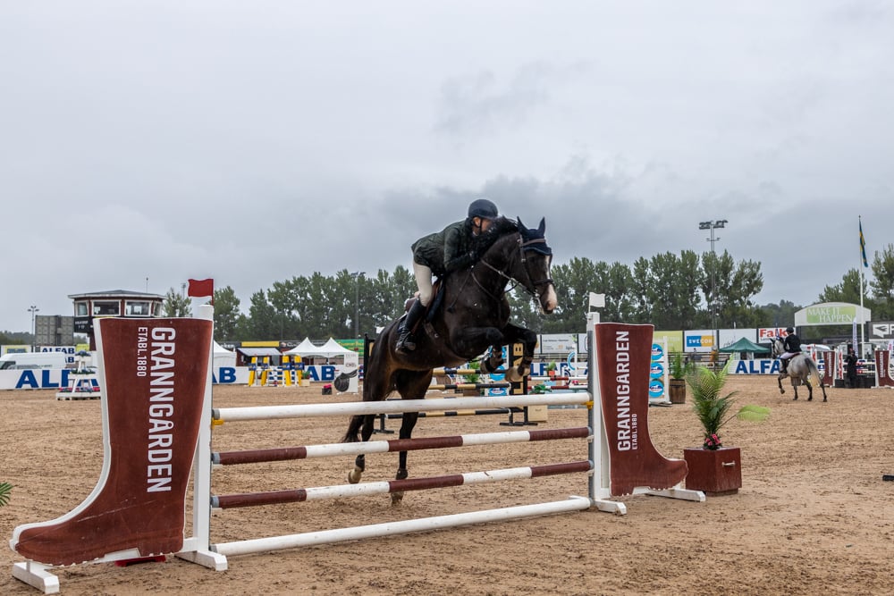 Granngårdens riksmästerskap, tävla i hoppning