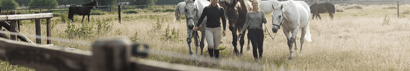 Häst och ryttare på Granngården