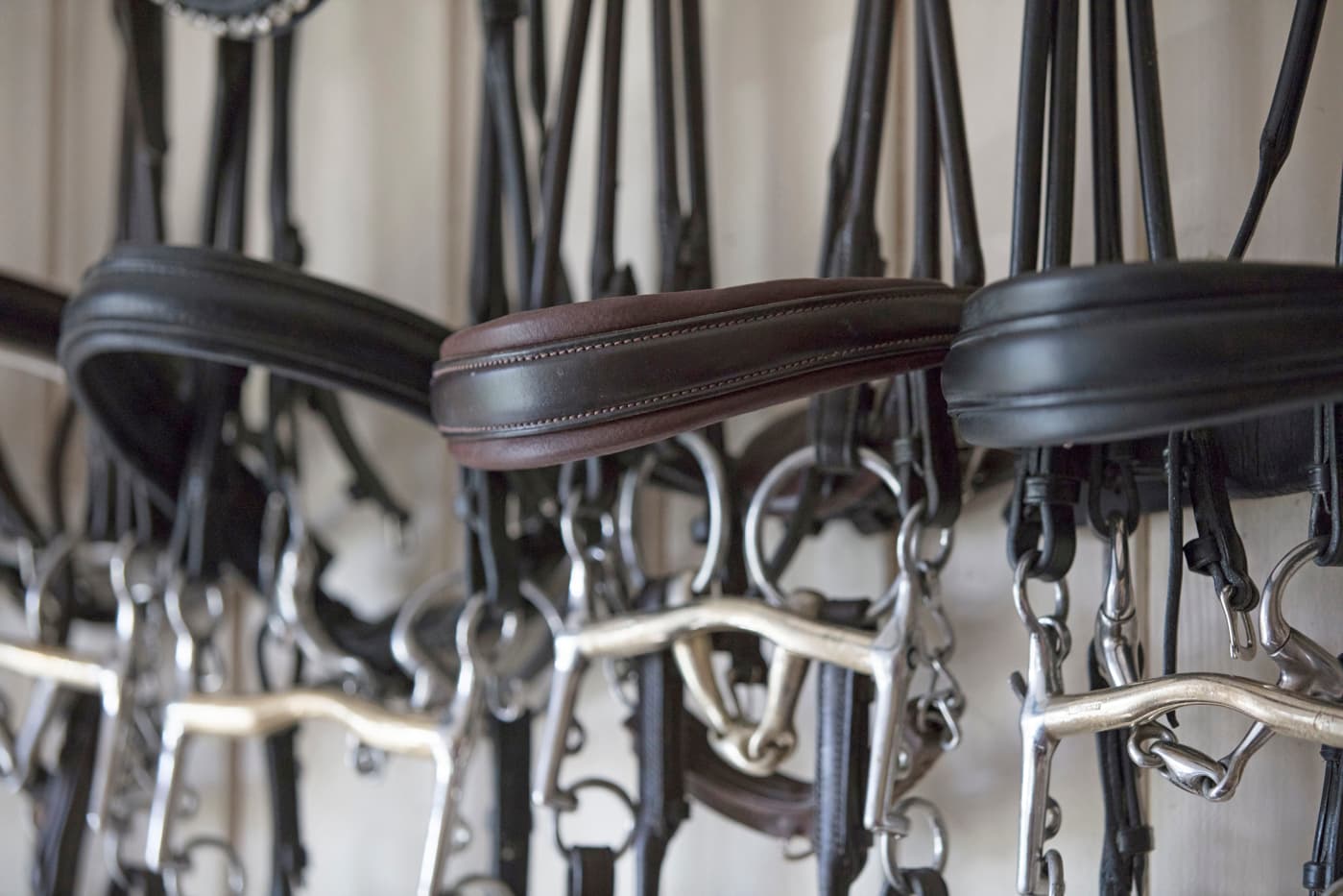 Välj rätt bett till hästen! Läs mer på granngården.se