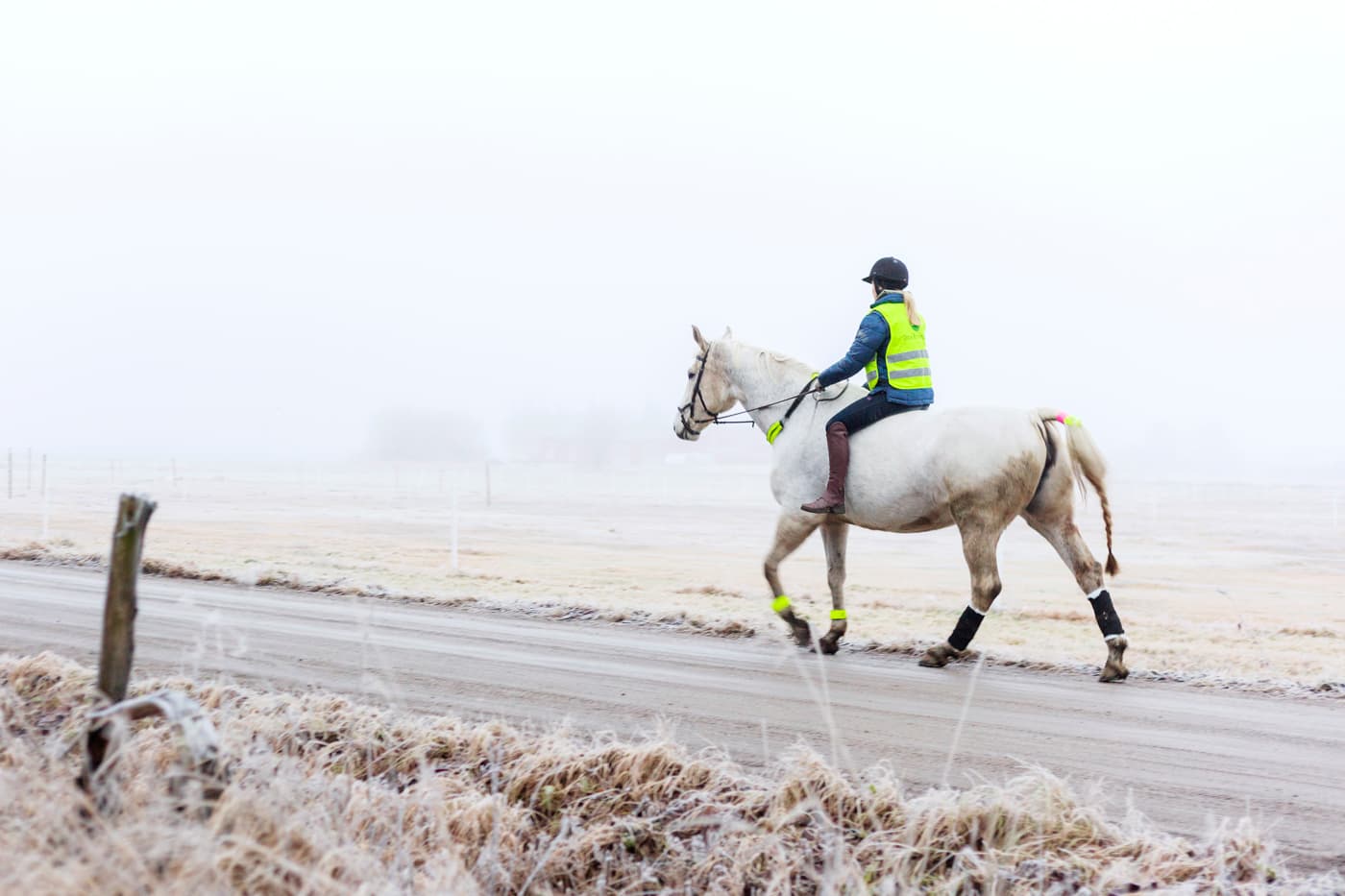 Reflex till häst och ryttare - läs mer på granngården.se