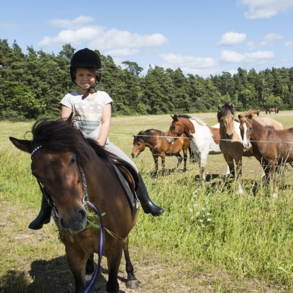 En flicka på en häst bredvid en hage med hästar