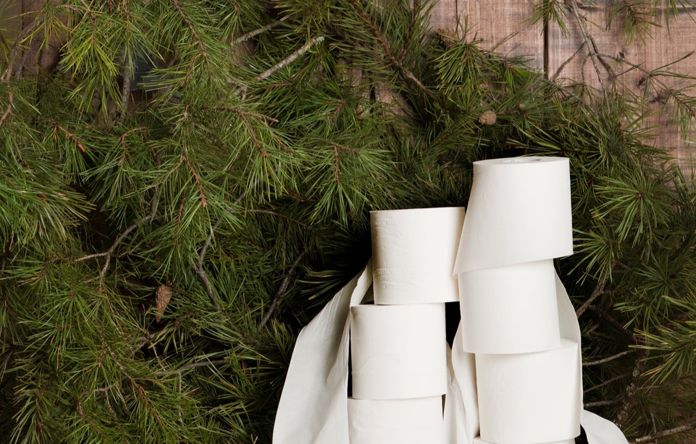 toapapper toalettpappersrullar liggande på tallris