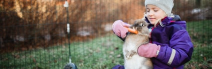 Tips på aktiviteter och lekar inne och ute för din kanin i vinter