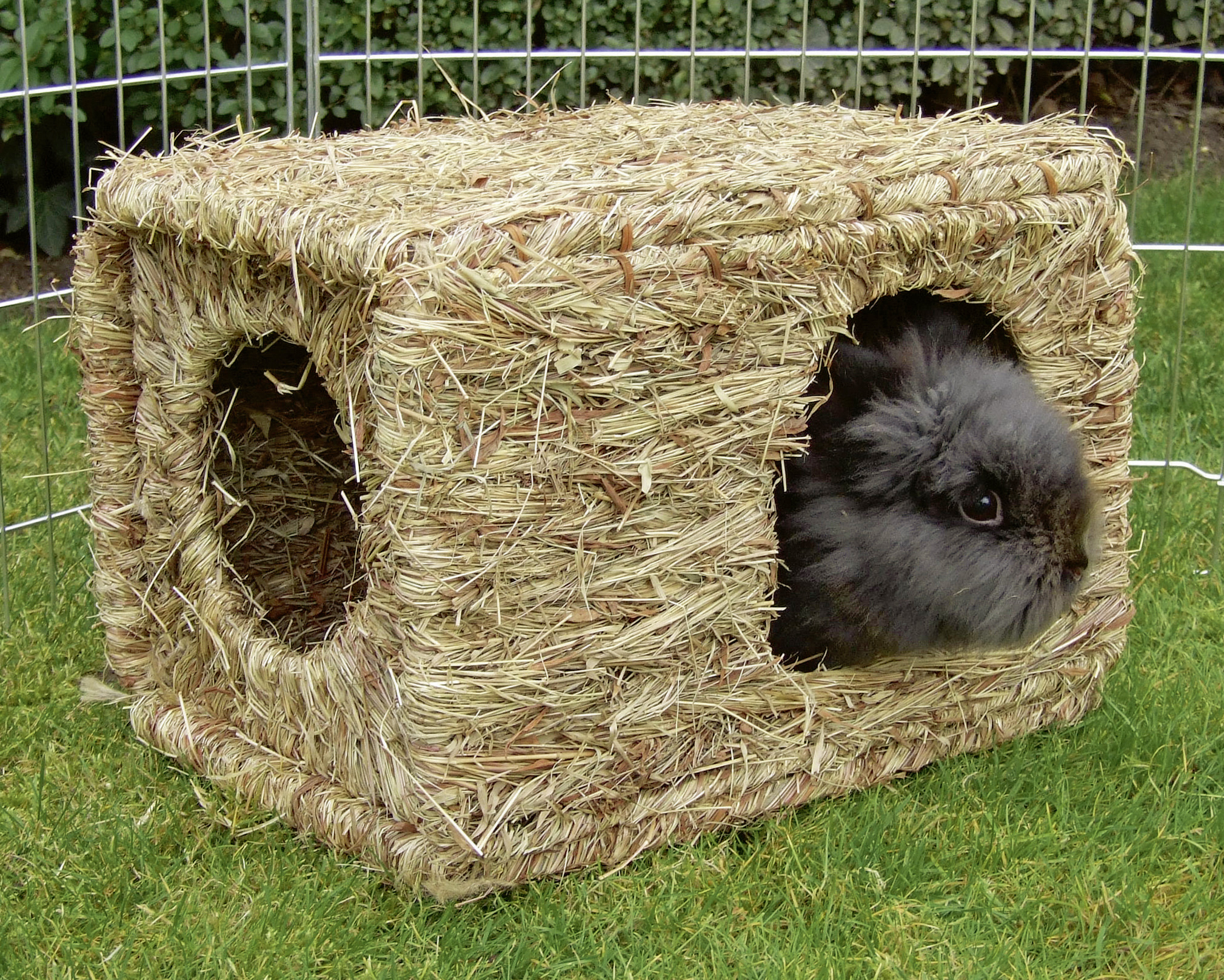 Gräshus med kanin i