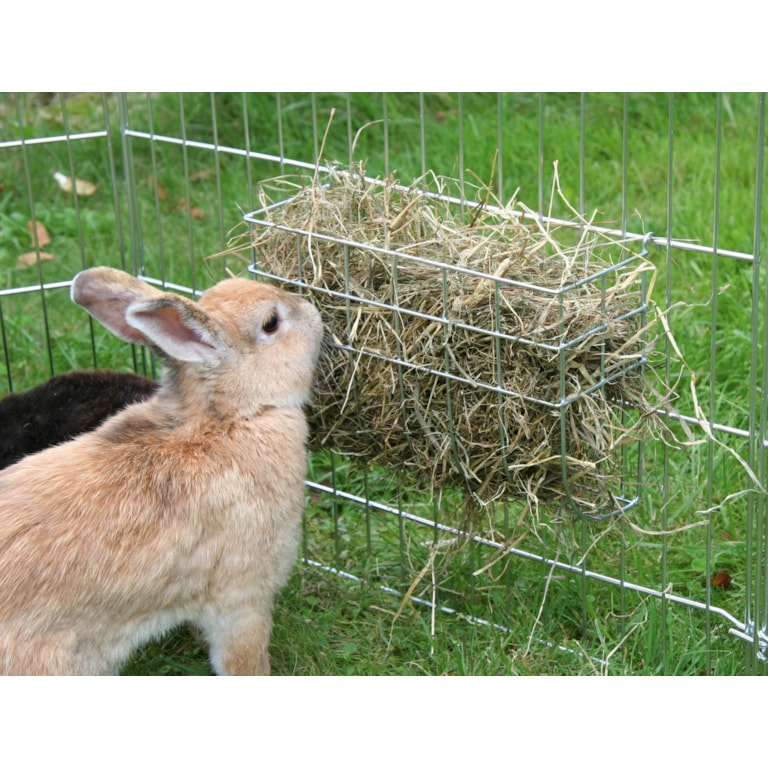 Kanin som äter hö från en höhäck
