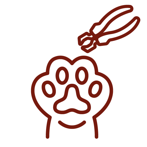 Boka kloklippning via Granngårdens husdjurshjälpen