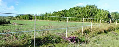 stolpar som bildar stängsel i naturen