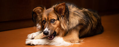 Köp Tuggben på granngården.se