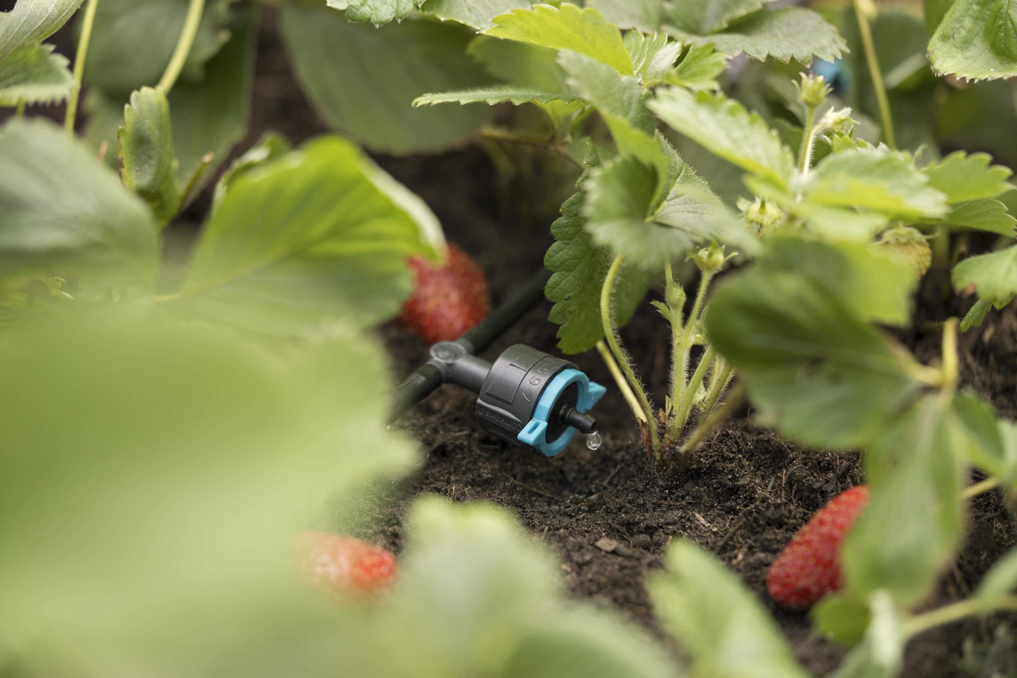 Droppbevattning från Gardena hos Granngården
