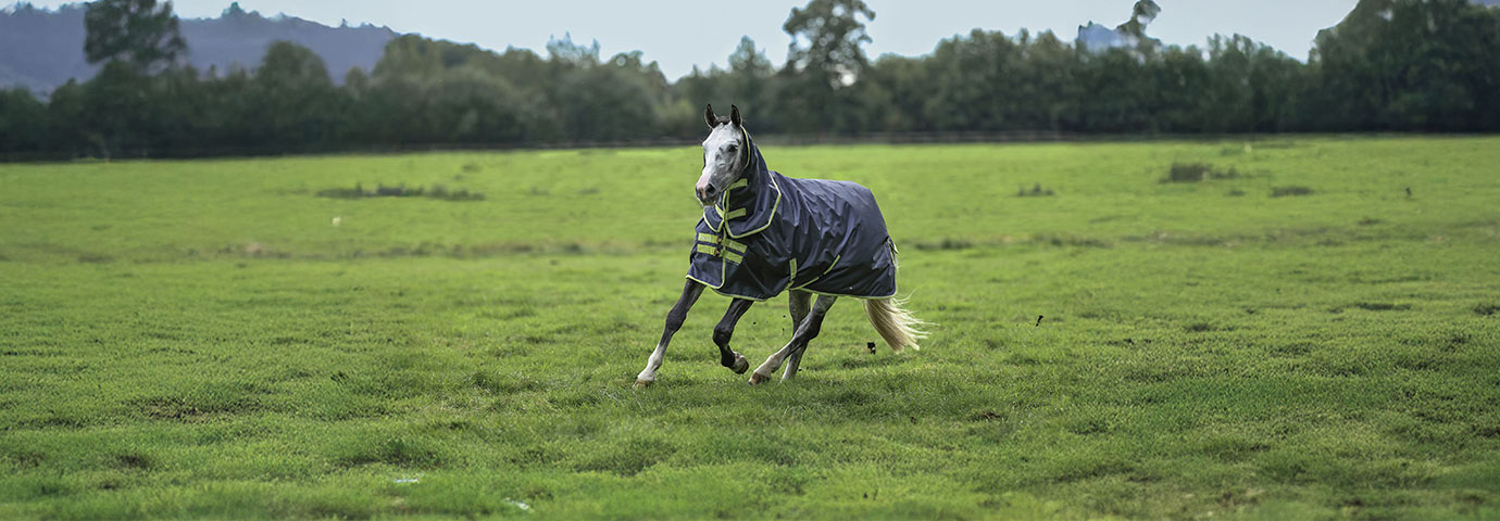 Häst springer glatt över grön hage med ett hästtäcke på sig
