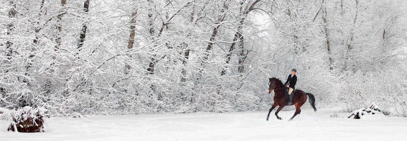 Ridkläder för vintern - läs vår guide på granngården.se