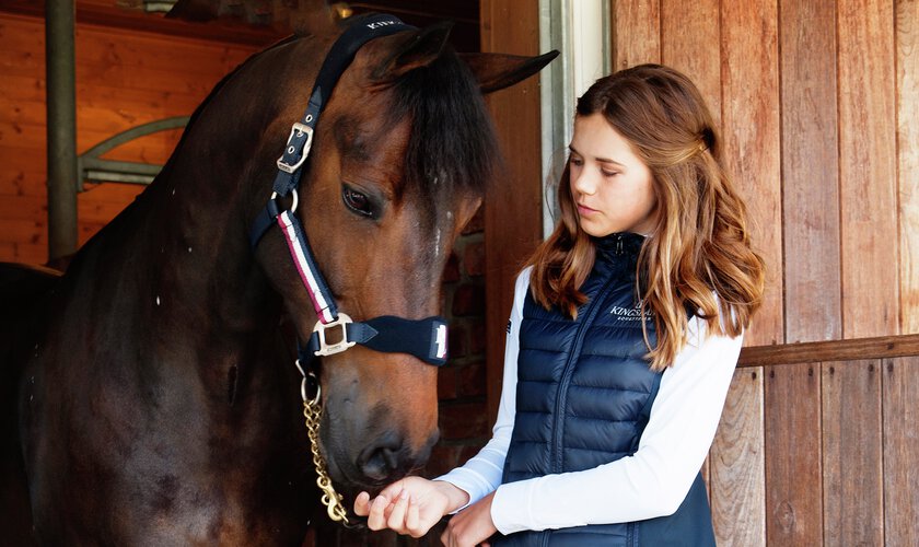 Häst och ryttare i stallet