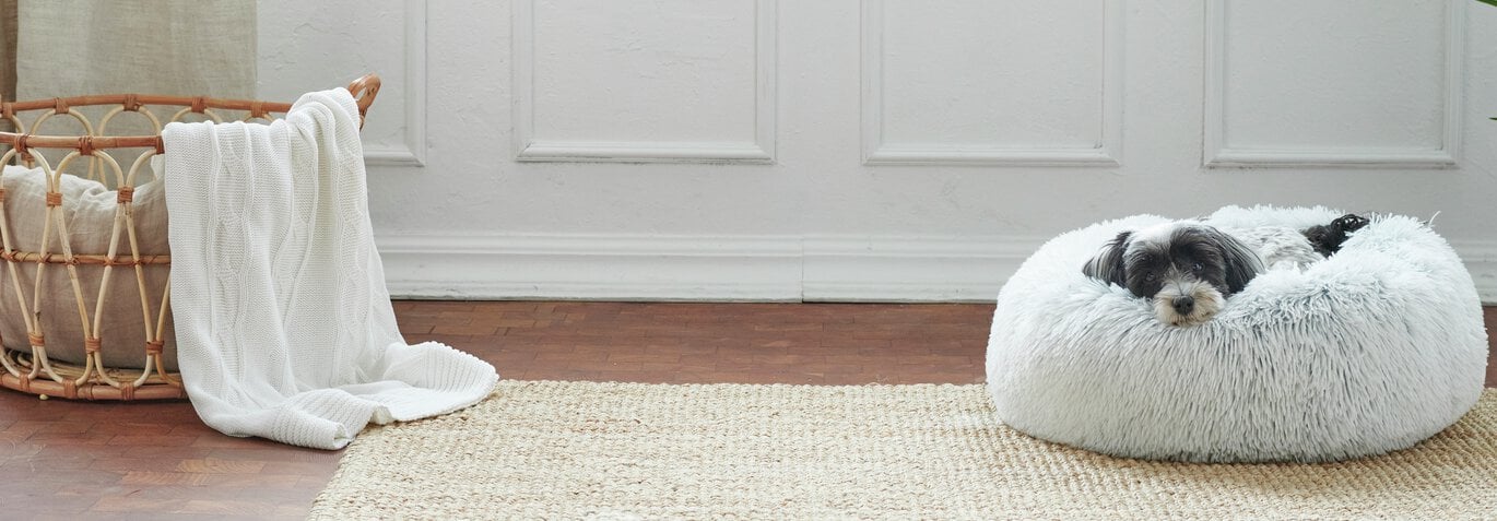 Kennelhosta hos hund - symtom, behandling och tips på granngården.se