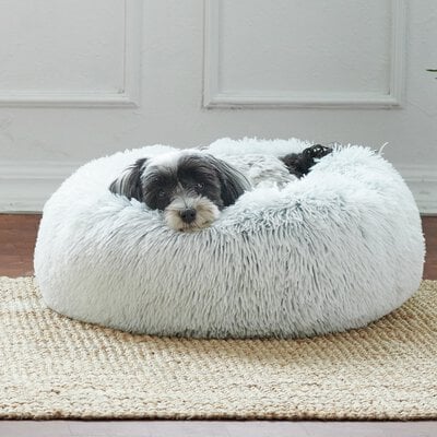 Liten hund som vilar i hundbädd