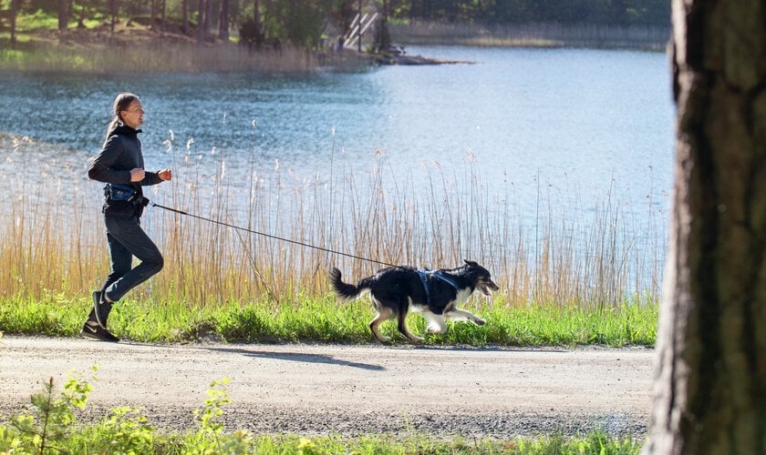 Kvinna som springer med hund utomhus