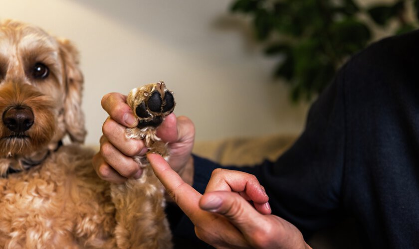 Tassar som smörjs in