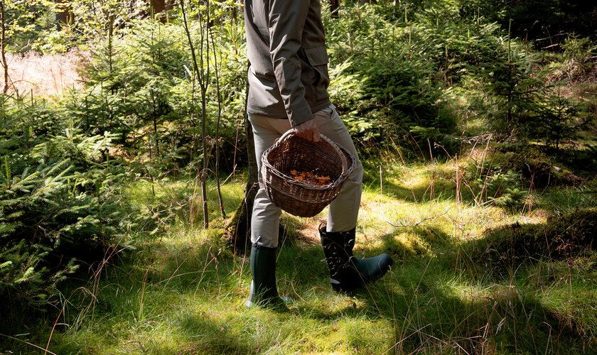 Skogspromenad med gummistövlar