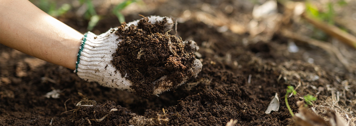 hand/trädgårdshandske som håller jord