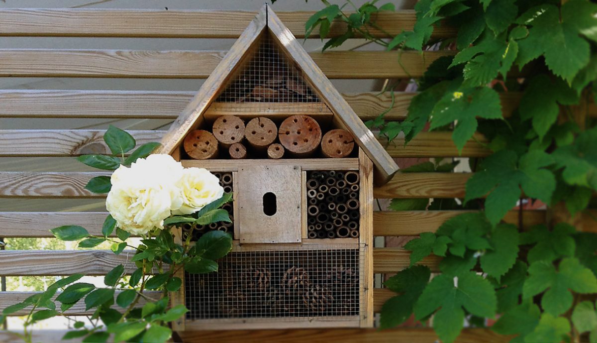 insektshotell - Hjälp till att öka den biologiska mångfalden