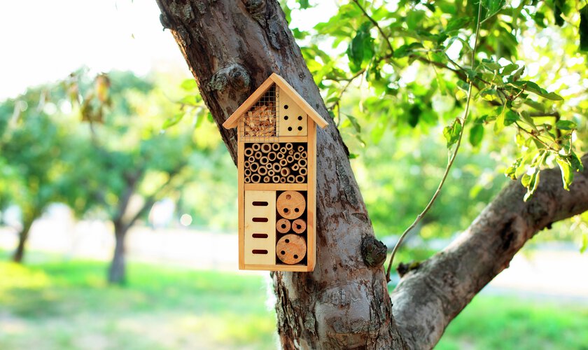 Rädda bina med hjälp av insektshotell från Granngården