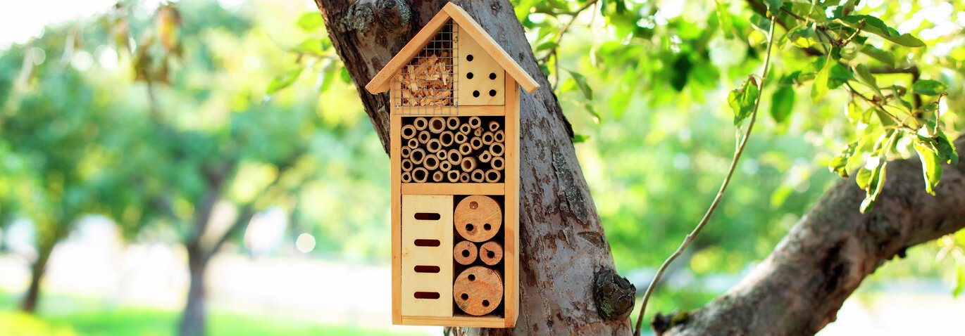 Rädda bina med hjälp av insektshotell från Granngården