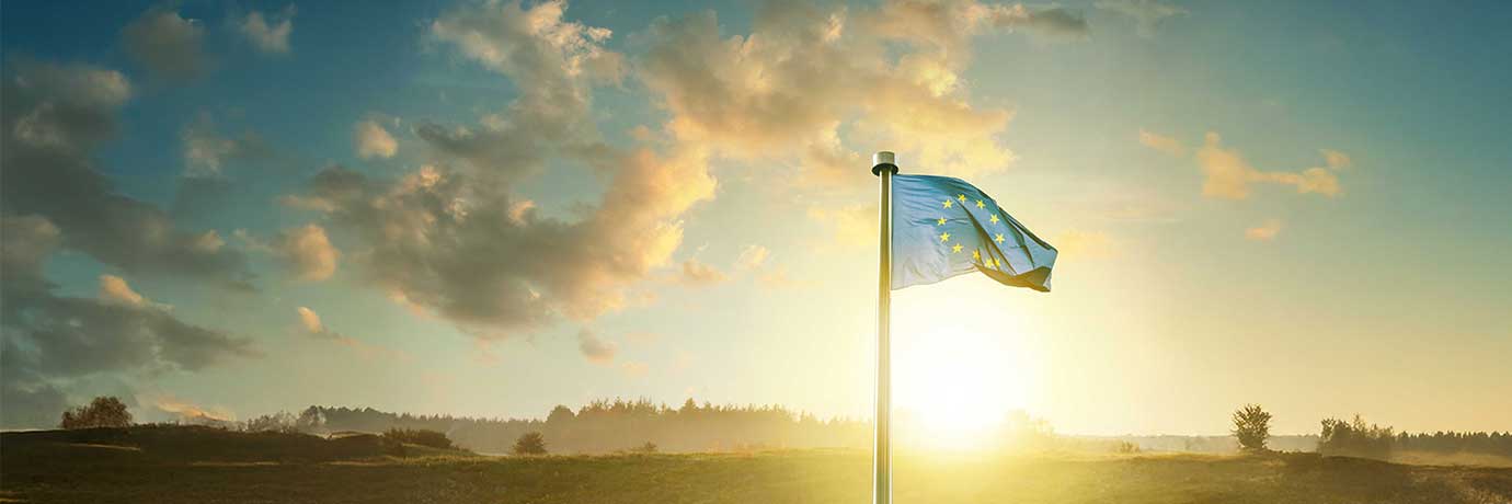 Grusväg som slingrar sig genom ett somrigt och solbelyst landskap, med EU-flagga i bakgrunden