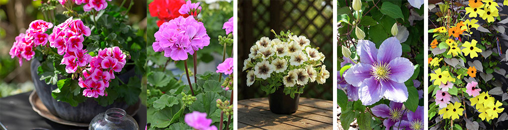 hero bild hos granngården startsida