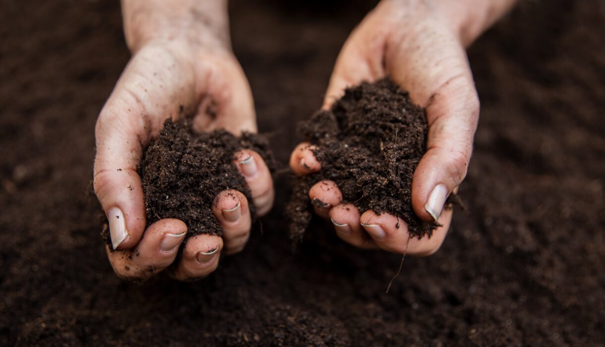 planteringsjord