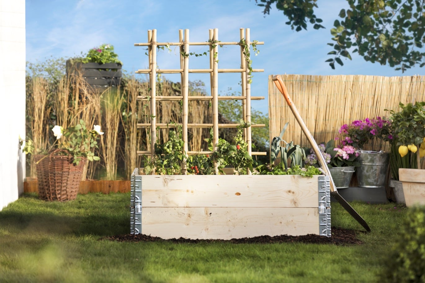 Pallkrage – plantera i odlingslådor