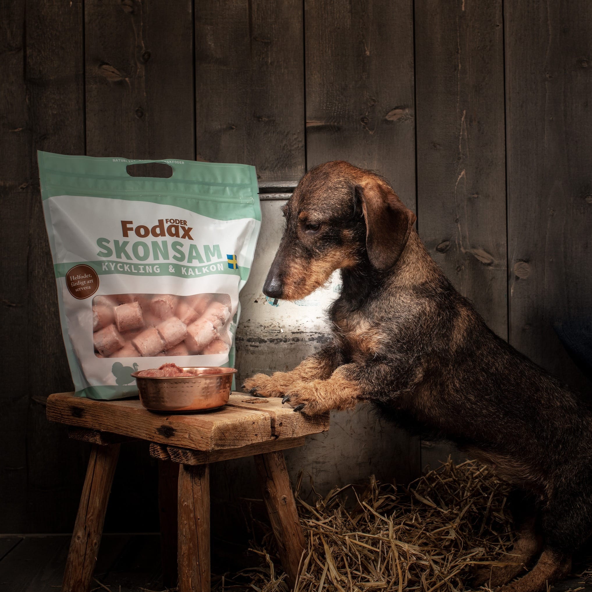 Fodax f&auml;rskfoder och en hund