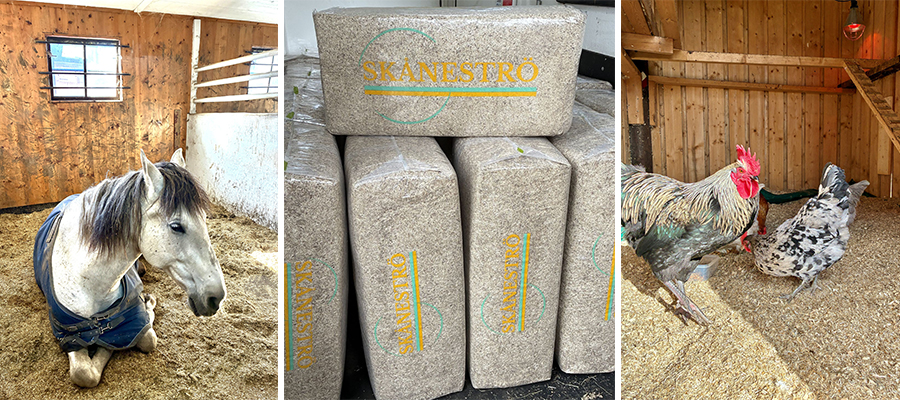 K&ouml;p Linstr&ouml; p&aring; granngarden.se